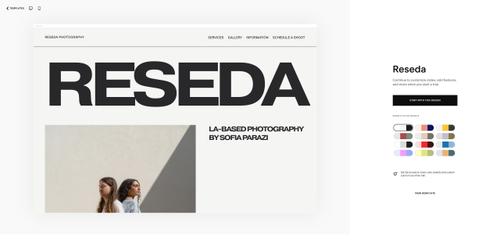 Captura de tela com os recursos de edição de cores de um template no Squarespace