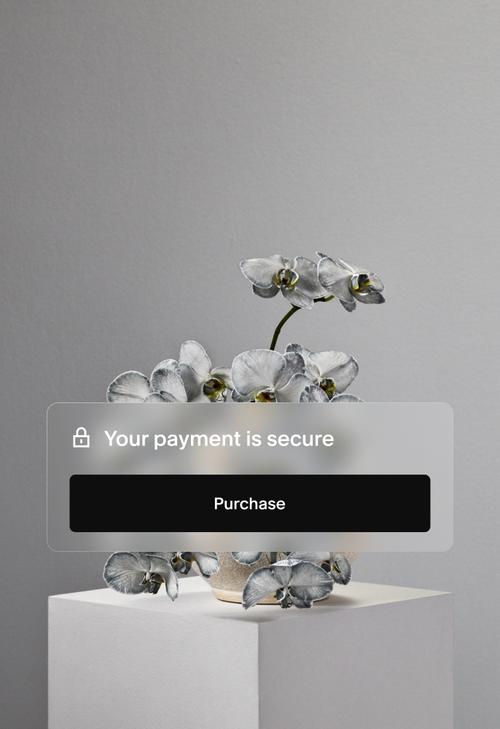 Kasse-Button mit der Meldung „Sichere Zahlung“